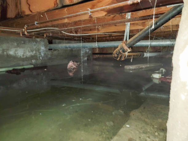 Water damage restoration experts in Mayodan, NC