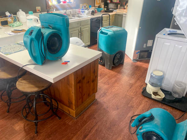 Best Water damage restoration services  in Mayodan, NC