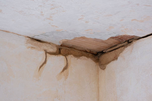 Best Water damage restoration mold remediation  in Mayodan, NC