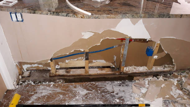 Best Water damage mitigation services  in Mayodan, NC