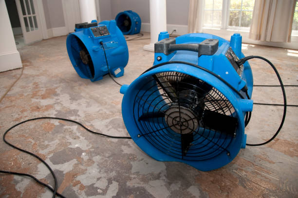 Best Basement water damage restoration  in Mayodan, NC