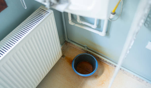 Best Carpet water damage restoration  in Mayodan, NC
