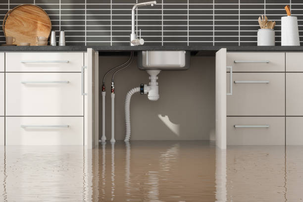 Best Water damage restoration near me  in Mayodan, NC