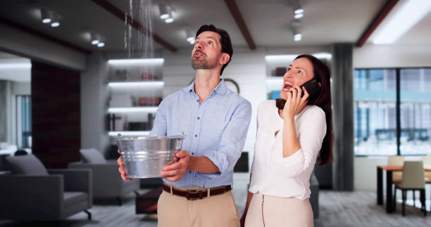 Best Flood damage cleanup  in Mayodan, NC