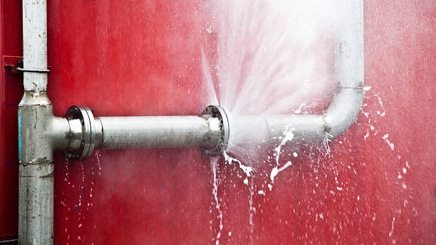 Best Water damage mitigation services  in Mayodan, NC